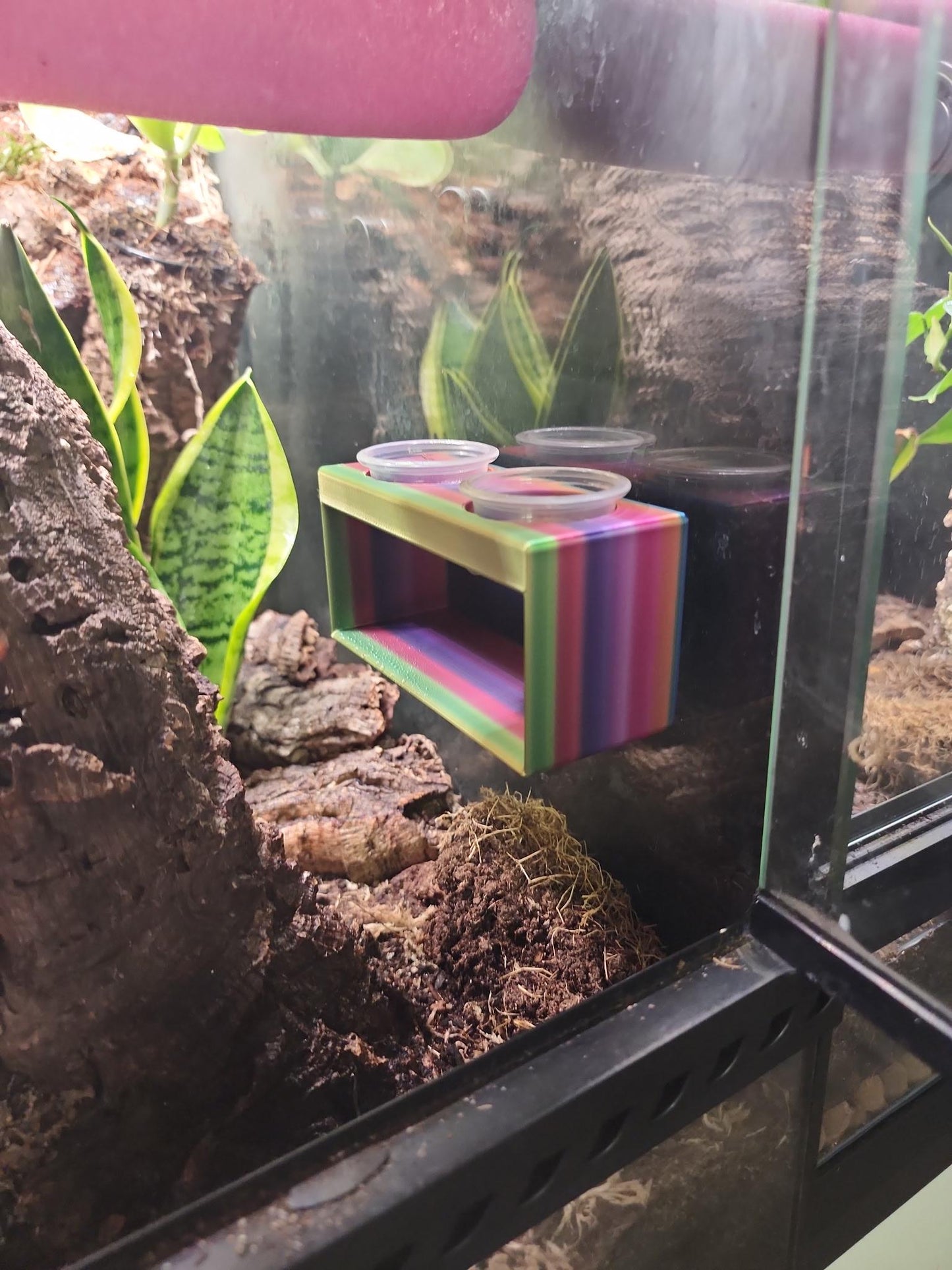 Reptile Food Bowl Hide with Suction cups and 4 1/2 oz bowls