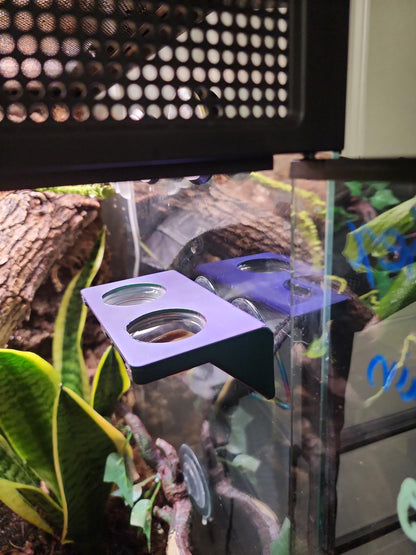 Crested Gecko Feeding Ledge: Non-Spill, Suction Cup Mount, 4 Bowls