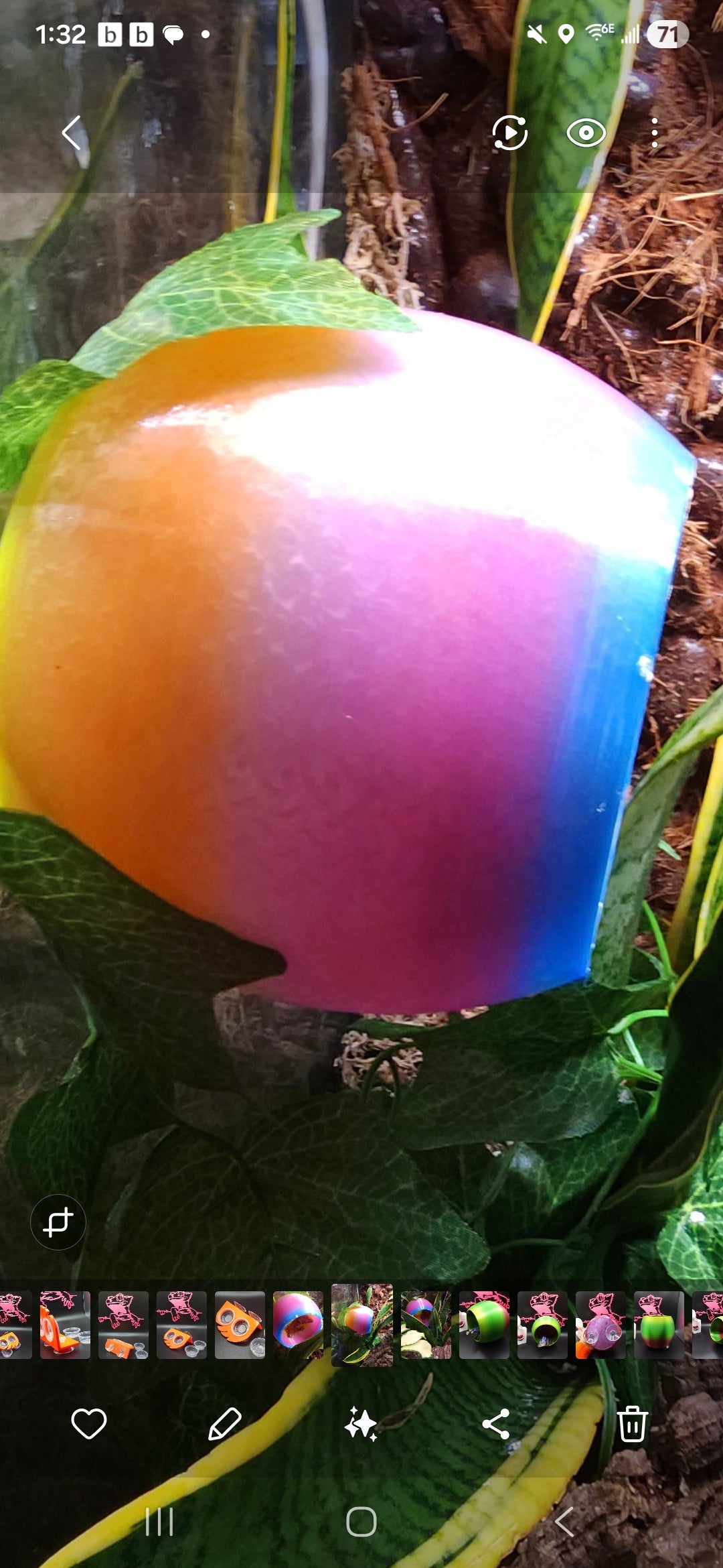 Globe Hide